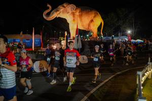 BIB: 
                            <button type="button" onclick="openModal(26552341)" class="btn btn-primary btn-sm float-right btn-popup" data-toggle="modal" data-target=".modal-high-quality">
                        <i class="fas fa-shopping-cart"></i> Add to Cart
                    </button>
                                            <button type="button" onclick="isThisMe(26552341, true)" class="btn btn-success btn-sm float-right btn-popup btn-isme hidden" data-toggle="tooltip" data-placement="bottom" title="นี่คือรูปของคุณใช่ไหม คลิกที่นี่เพื่อเอาเข้าอัลบั้ม">
                        <i class="fas fa-plus"></i> Add to album
                    </button>
                    <button type="button" onclick="isThisMe(26552341, false)" class="btn btn-warning btn-sm float-right btn-popup btn-isnotme hidden">
                        <i class="fas fa-ban"></i> Remove from album
                    </button>